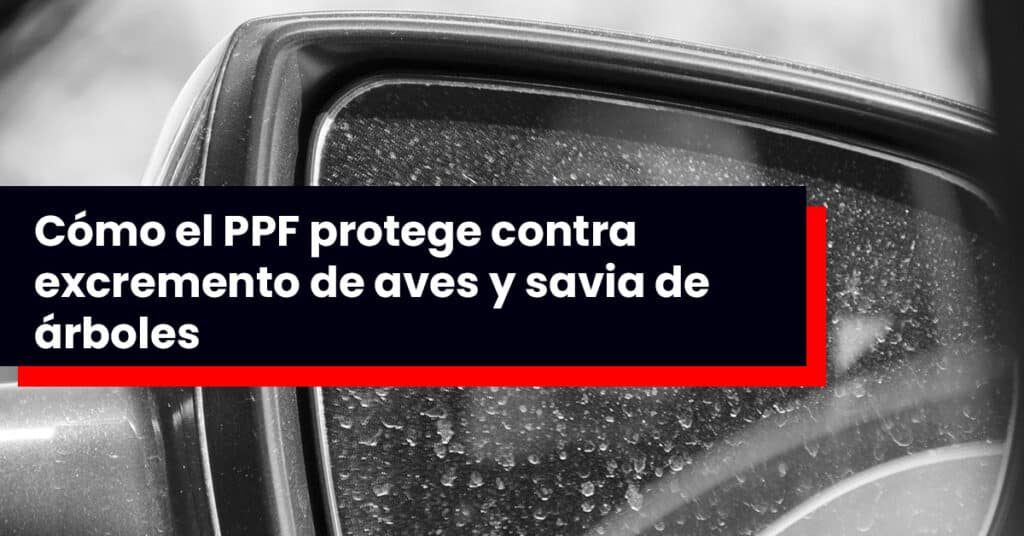Cómo el PPF protege contra excremento de aves y savia de árboles